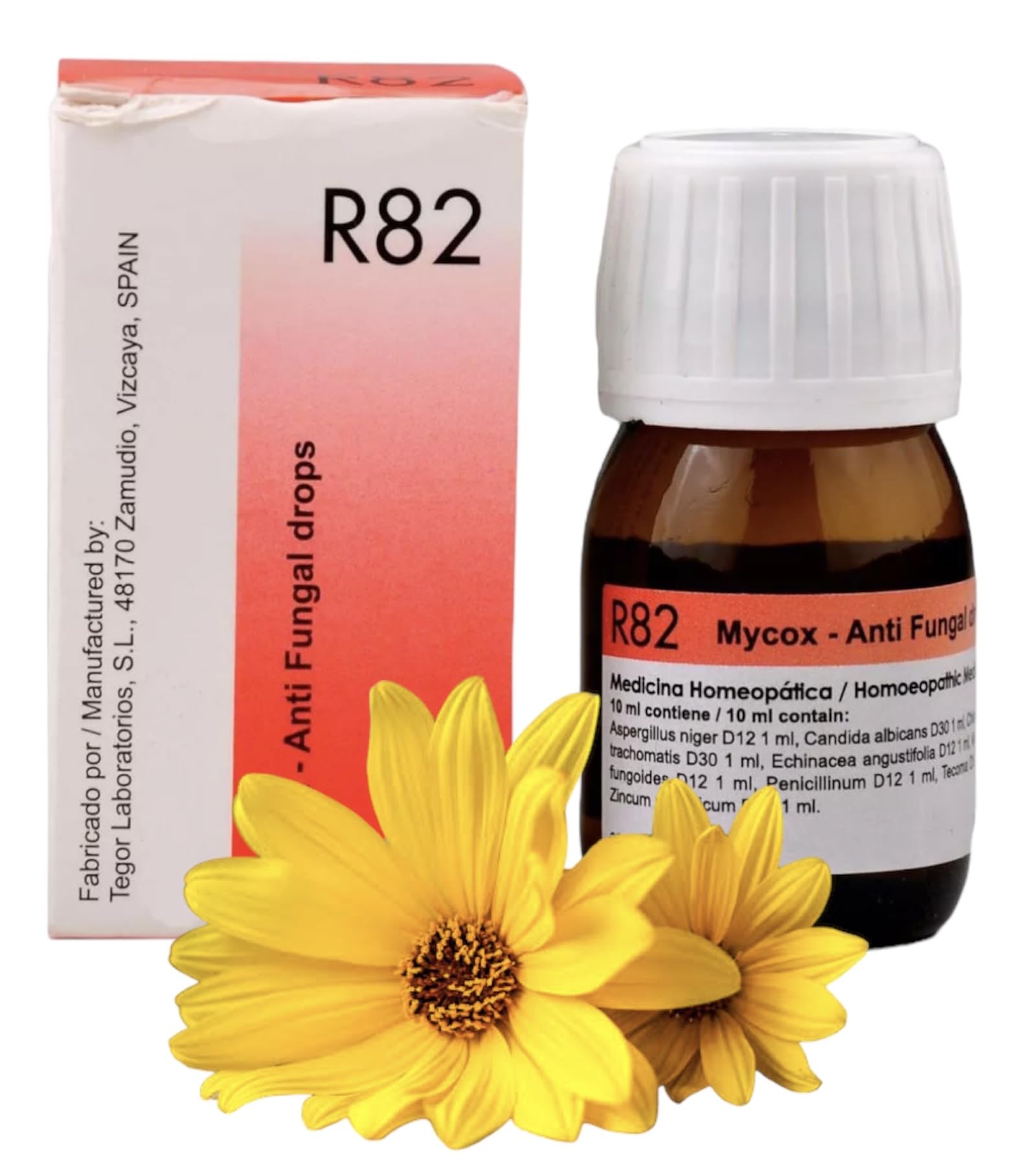 Dr Reckeweg R82 Antifungal_ Drops Homeopathic (30ml) - Set of 1 Bottle (B0CWDN37D2) Amazon Price History, Amazon Price Tracker