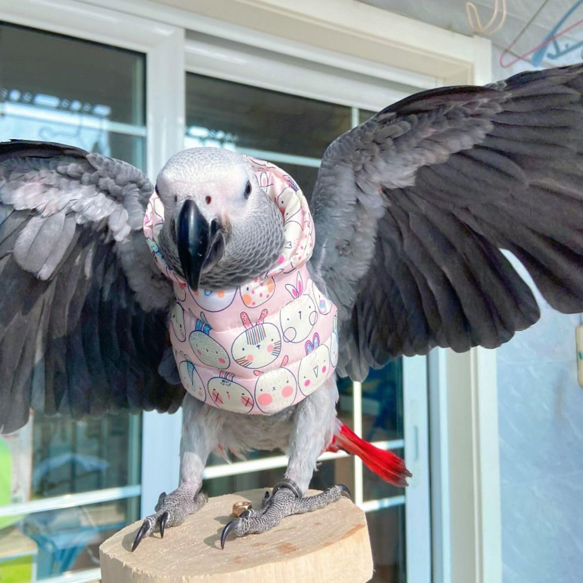 Bird Cloth Christmas Party Birthday Costume for Parrot Halloween Pet Birds Clothes Birds Cosplay Outfit Pink Hoodies (Macaw)