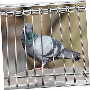 Amazon.co.jp: GREENADSCAPE 鳩小屋の入り口 鳩のドアケージ 鳥