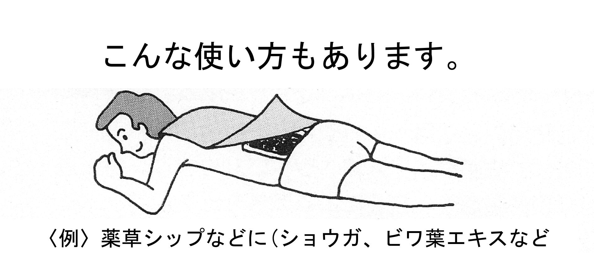 Amazon.co.jp: フィットアンポFA-2 コントローラーなし 丸央産業