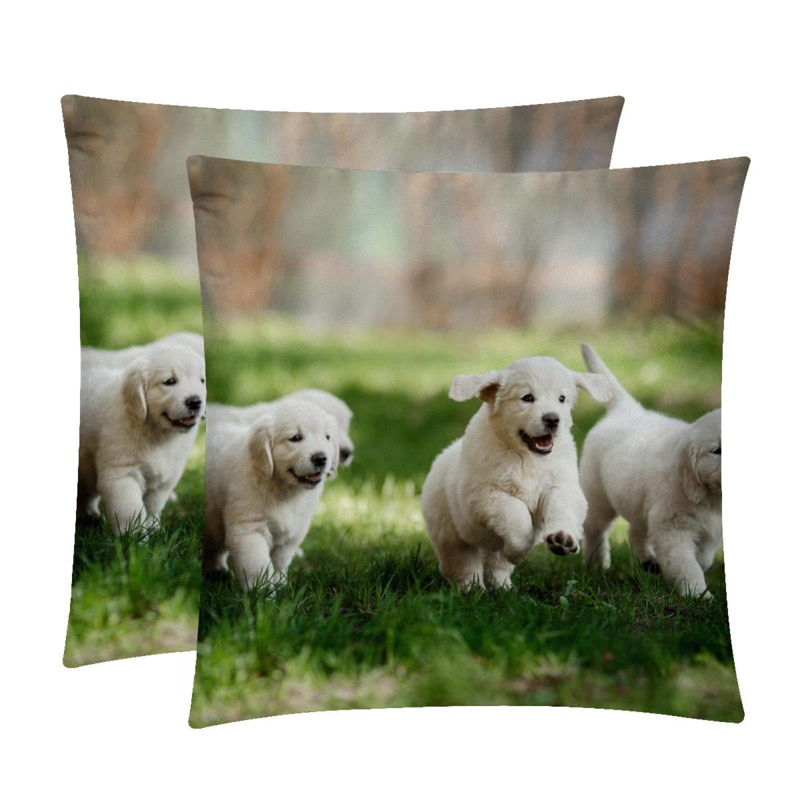 TDGKPZ Dog Throw Pillow Covers 2 Pack Cushion Cases Decorative Pillow Cases Home Decor 40x40cm