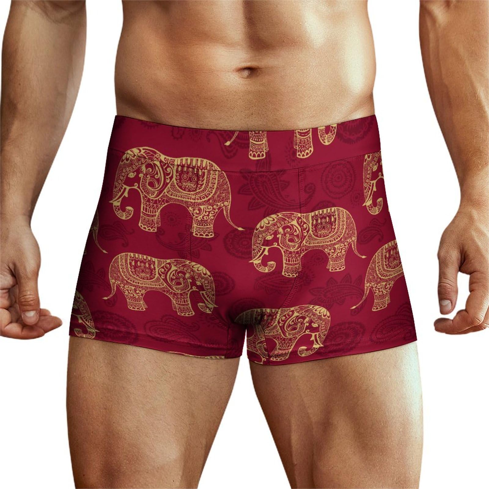 Niapessel Men's Boxer Briefs, Men's Underwear Boxer Brief, Breathable Comfort Novelty Boxers Briefs for Men, Elephants Indian Style, S
