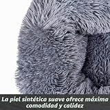 Ver la foto 5