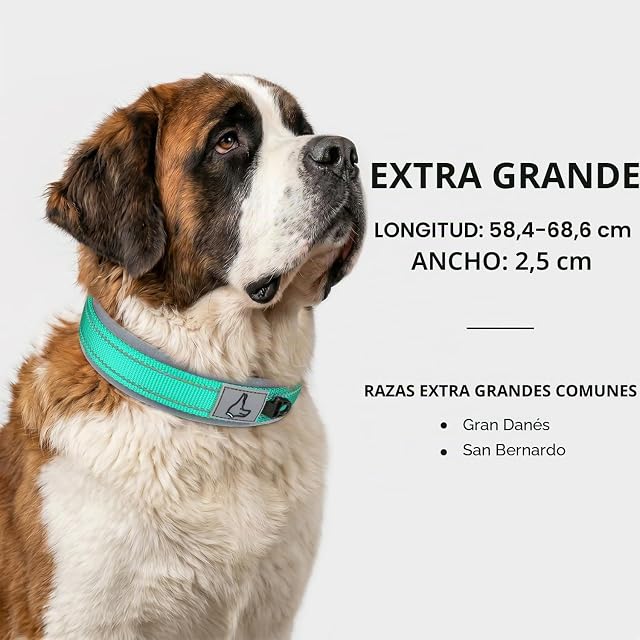 Foto 5 de 6 de Joytale Collar Perro Grande, Resistente y Reflectante, Ajustable de Acolchado Neopreno Nylon, Turquesa, XL