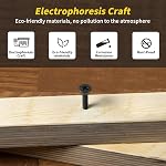 Kit d'assortiment de vis en bois, FIXLINK 240 PCS Ensemble de vis à tête plate haute dureté, vis à entraînement Phillips, contenant 15PC Ancrage à parois sèches et 8 Taille (2-1/2,2”,1-1/2,1-1/4,1”,3/4,5/8,1/2,), noir