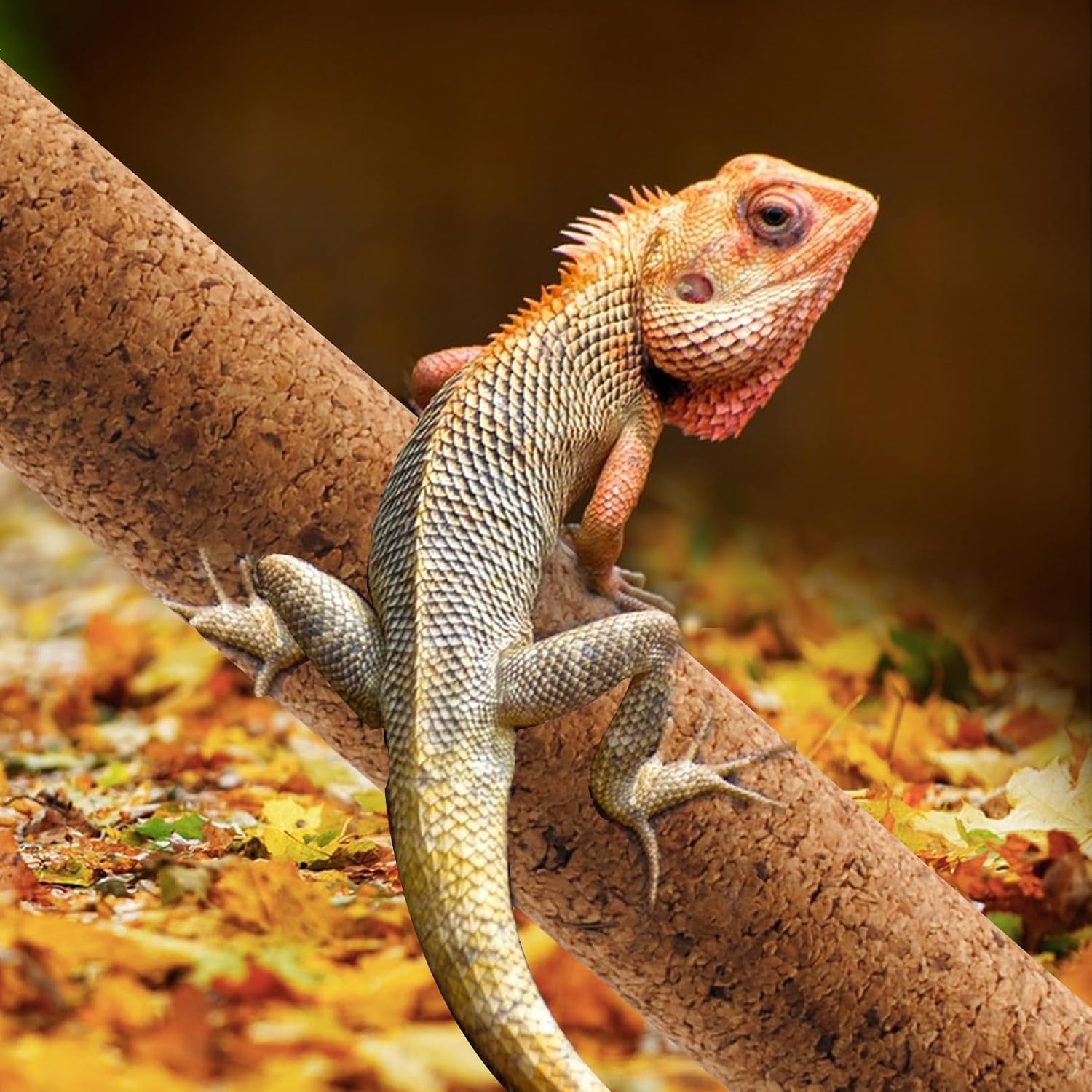 Natural Climbing Pet Cork Stick Natural Tree Frog Cork Wood Stick Branch Reptiles Climbing Branches Reptiles Use Cork Branches Climb Branches for Frogs, Snakes,Lizards, Bearded Dragons