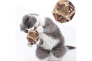 Cat Nip Mint Ball Natural Polygonum Officinale Balls Cat Toys