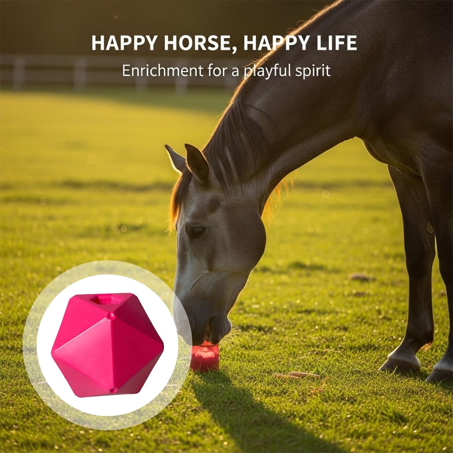 Horse Treat Ball Feeder Toy, 9 in / 23 Cm, Rose Red Food-Safe Pp Equine Play Ball, Stress Reliever & Entertainment Solution for Boredom, Pasture Grazing