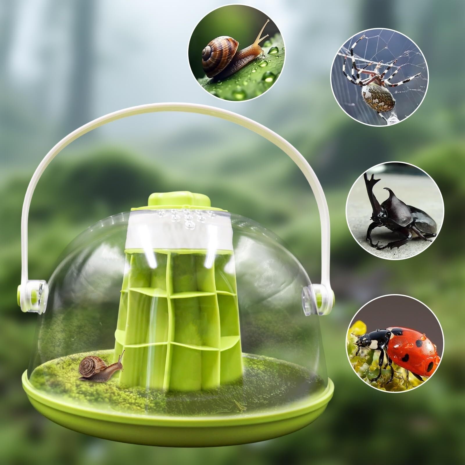 Pudełko Do Karmienia Zestaw Do Terrarium Dla Ślimaków Okrągłych, Plastikowa Podstawa, Wyjmowane Siedlisko Terrarium Dla Gadów