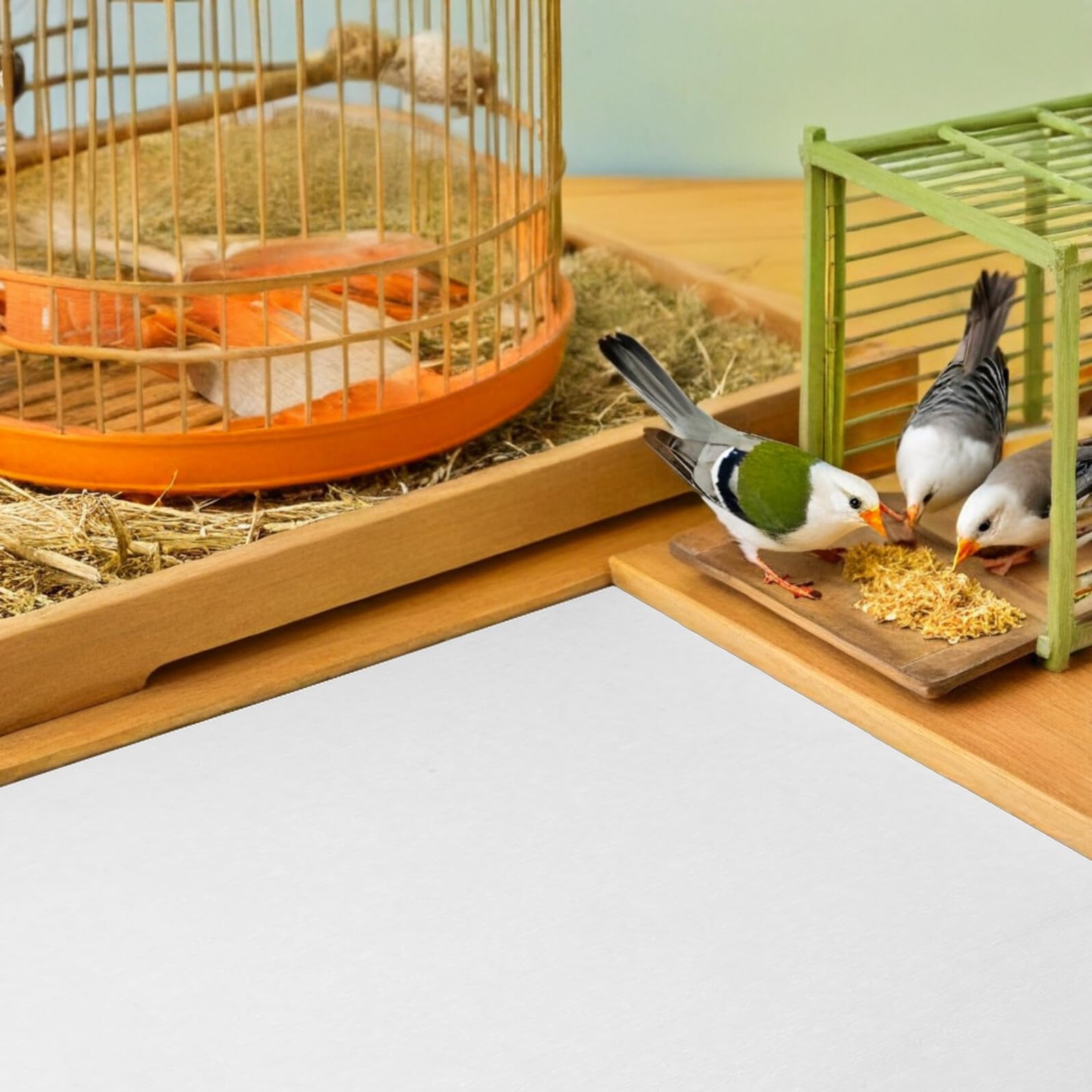 100 Piezas Papel Absorbente para Jaulas de Pájaros y Loros Unidades Desechables Compatible con Jaulas Grandes y Pequeñas Protector Higiénico Accesorio para Aves Domésticas