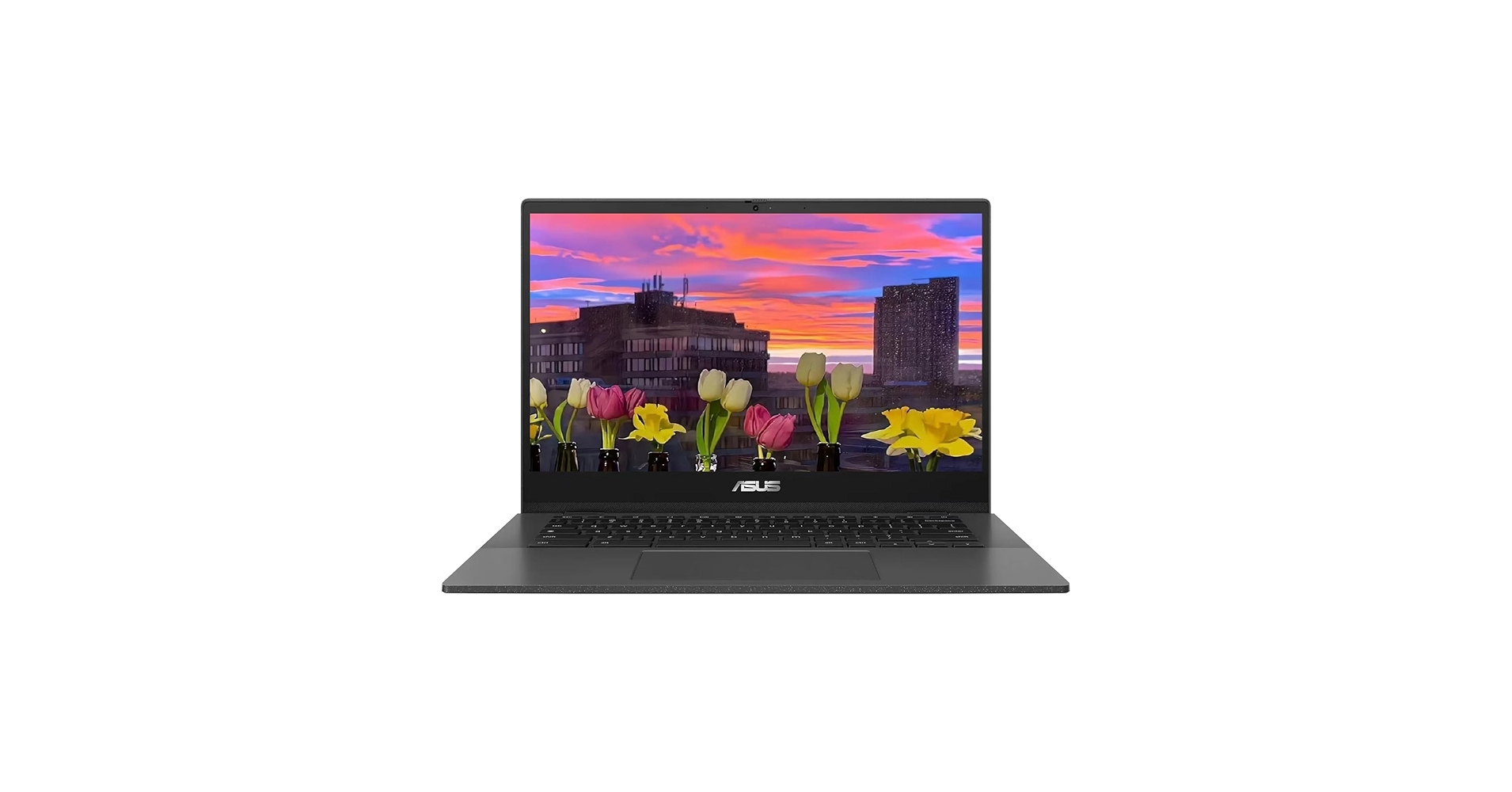 Amazon.com: ASUS Chromebook CM1402 Laptop, 14” FHD (1920 x