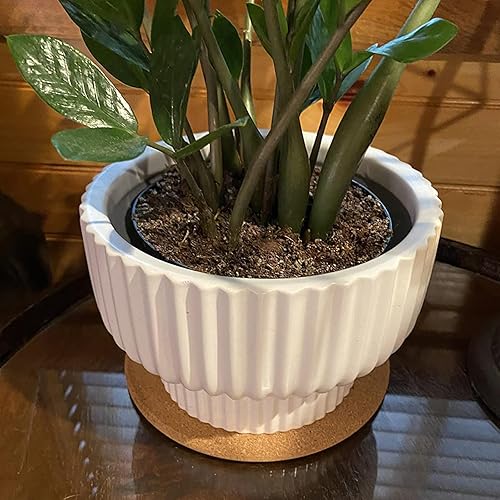 Miniatura 6 de KEILEOHO 10 salvamanteles de corcho de 7.5 pulgadas, posavasos de corcho, posavasos redondos de 3/8 pulgadas de grosor, tapones calientes de corchos