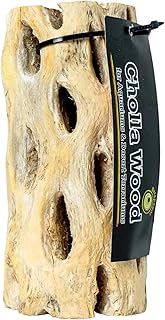Natural Pack Galapagos 50705271: Cactus Skeleton Cholla Wood, 12In