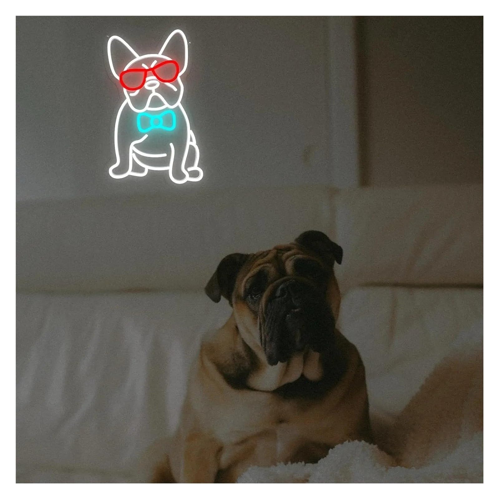 Insegna al Neon Insegna Al Neon A LED Bulldog Francese