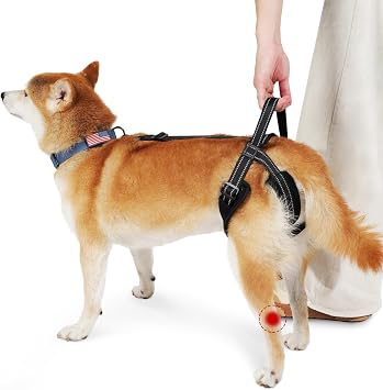 Help Em Up Harness for Dogs Rear Legs Disabled Injured Post-op L | Breathable mesh material with reflective strape, adjustable buckle, portable lifting handle, match most dog collars