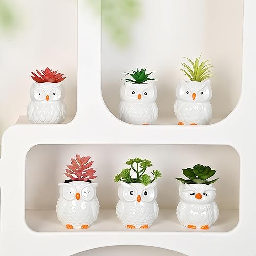 Miniatura 7 de Lindas macetas de cerámica para suculentas de búho, maceta con drenaje y platillo adjunto, juego de 6, escritorio y decoración del hogar, plantas no