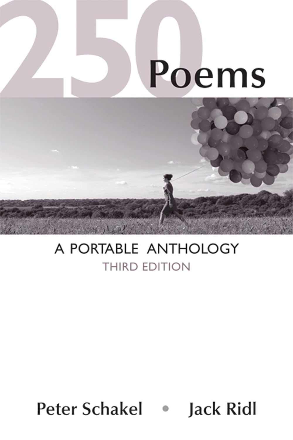 Amazon.com: 250 Poems: A Portable Anthology: 9781457636929: Schakel ...