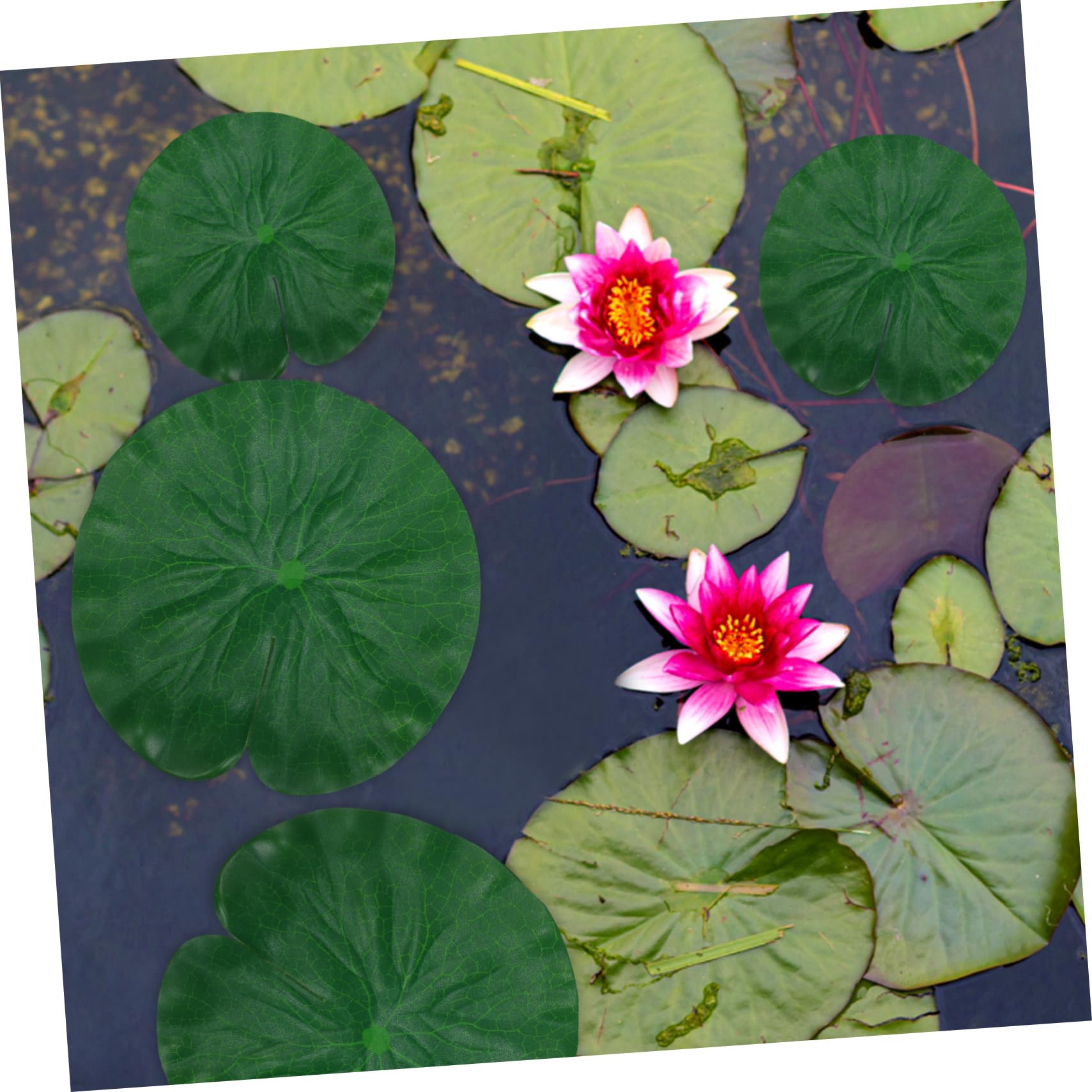 POPETPOP 5 Set Foglia Di Loto Simulata Falso Piscina Partire Piante D'acquario Galleggiante Accessori Per Laghetti Da Giardino Decorazione Dell'acquario Piante Acquatiche Eva 16 Pezzi * 5