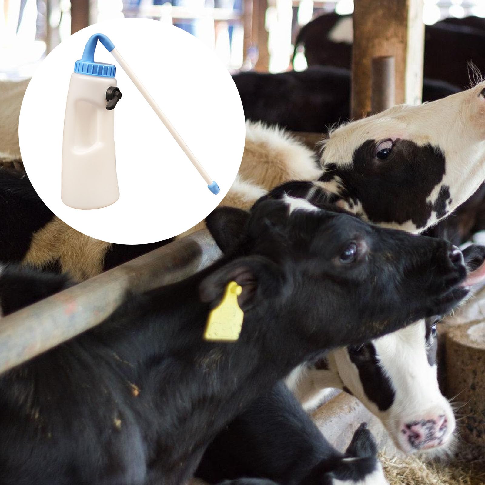 Kalbsmilch-Futterspender mit großer Kapazität, aseismatische Stillflasche zum Füttern von Hydratation, Medikamenten, Fläschchen