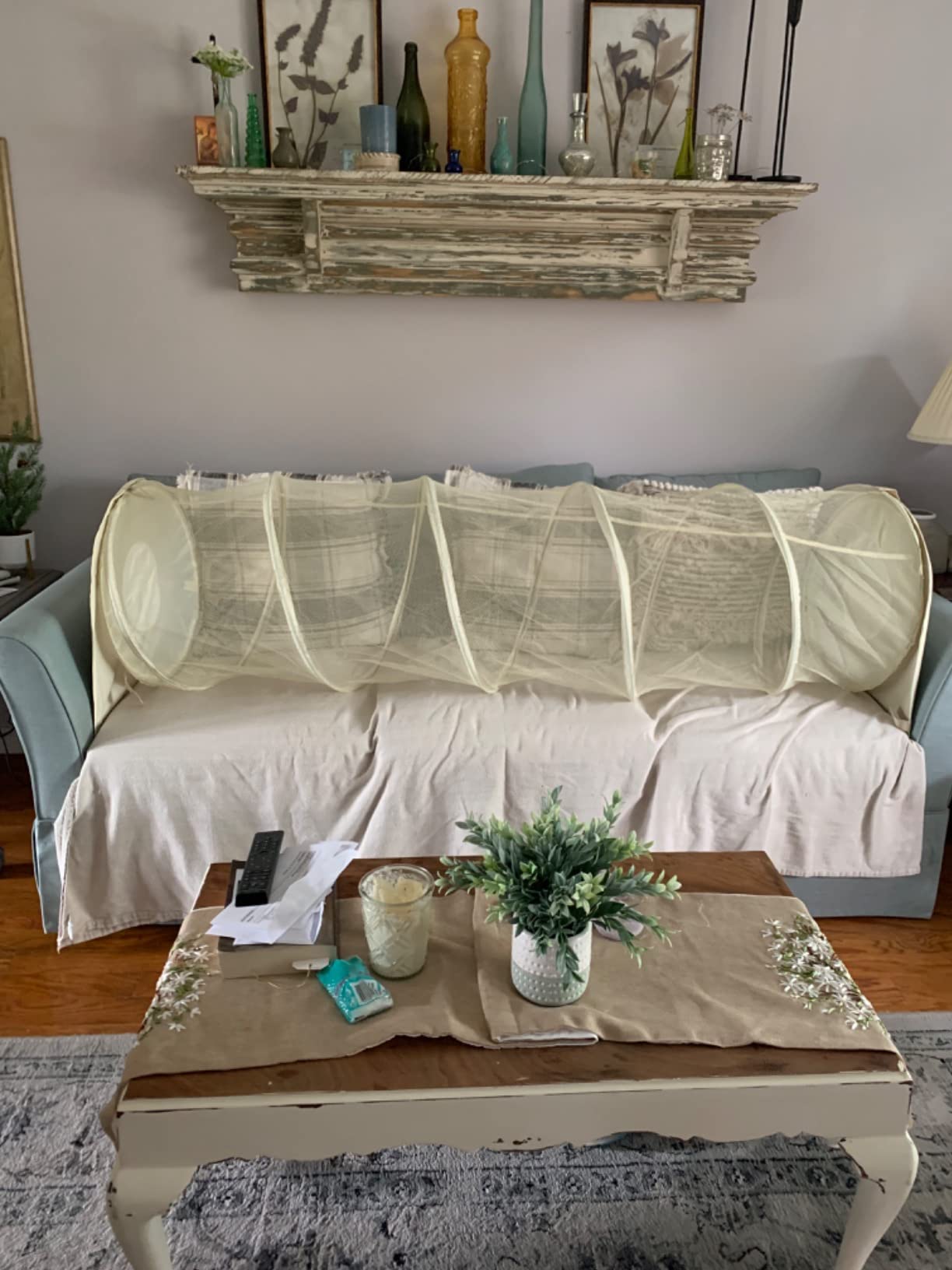 11/mo Finance Couch Defender Keep Pets Off of Your Furniture! Buy