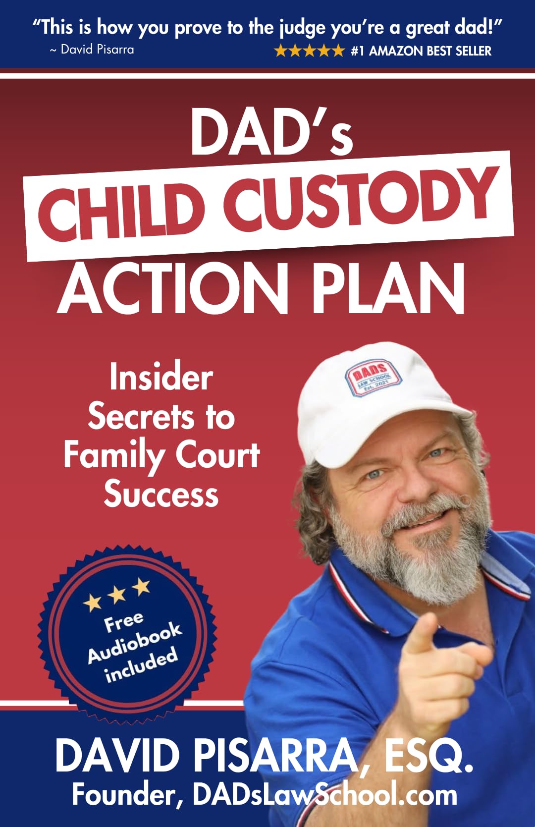 DAD's CHILD CUSTODY ACTION PLAN: Insider Secrets to Family Court Success