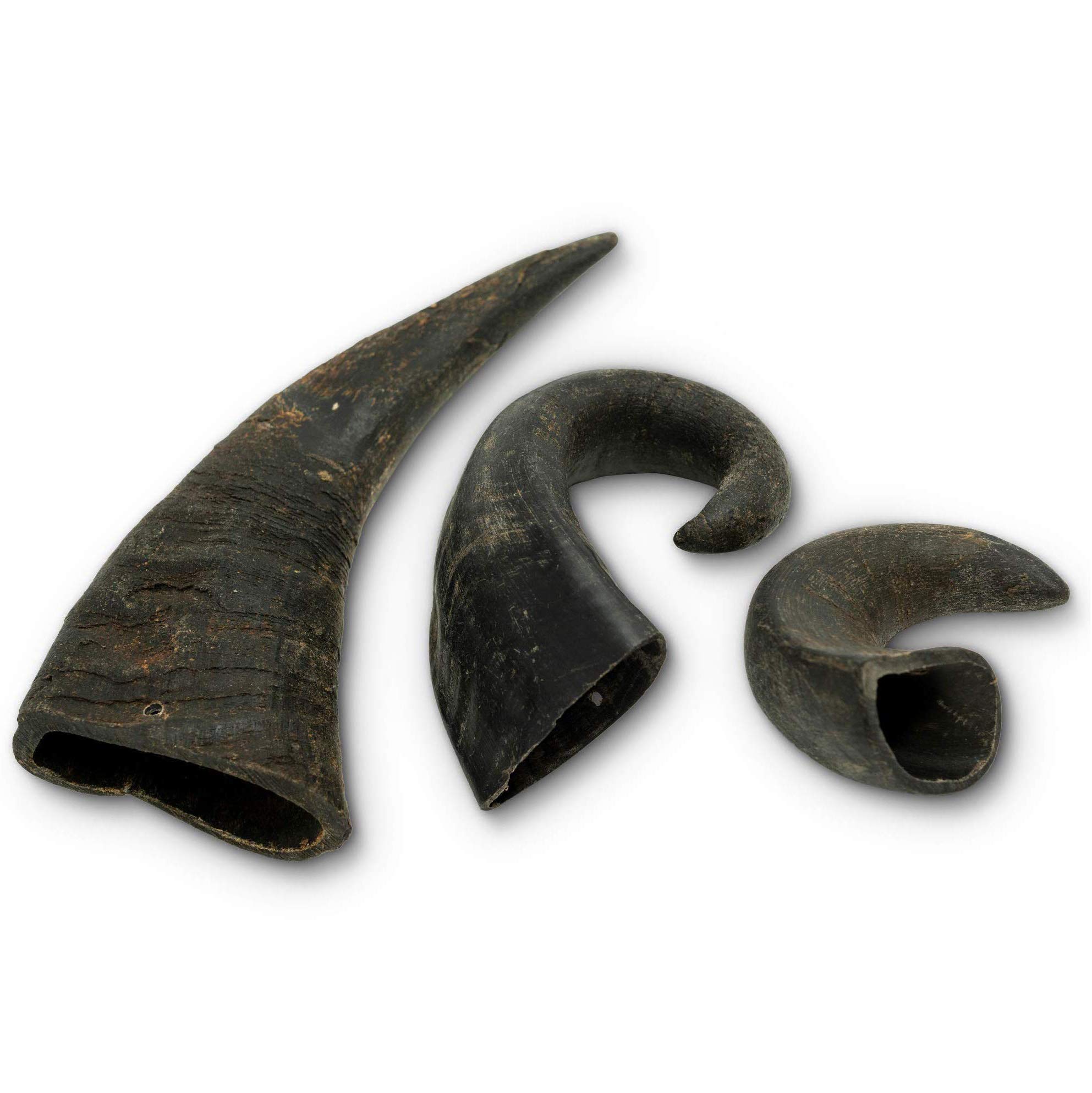 Are Outback Jack Water Buffalo Ear Dog Treats Safe