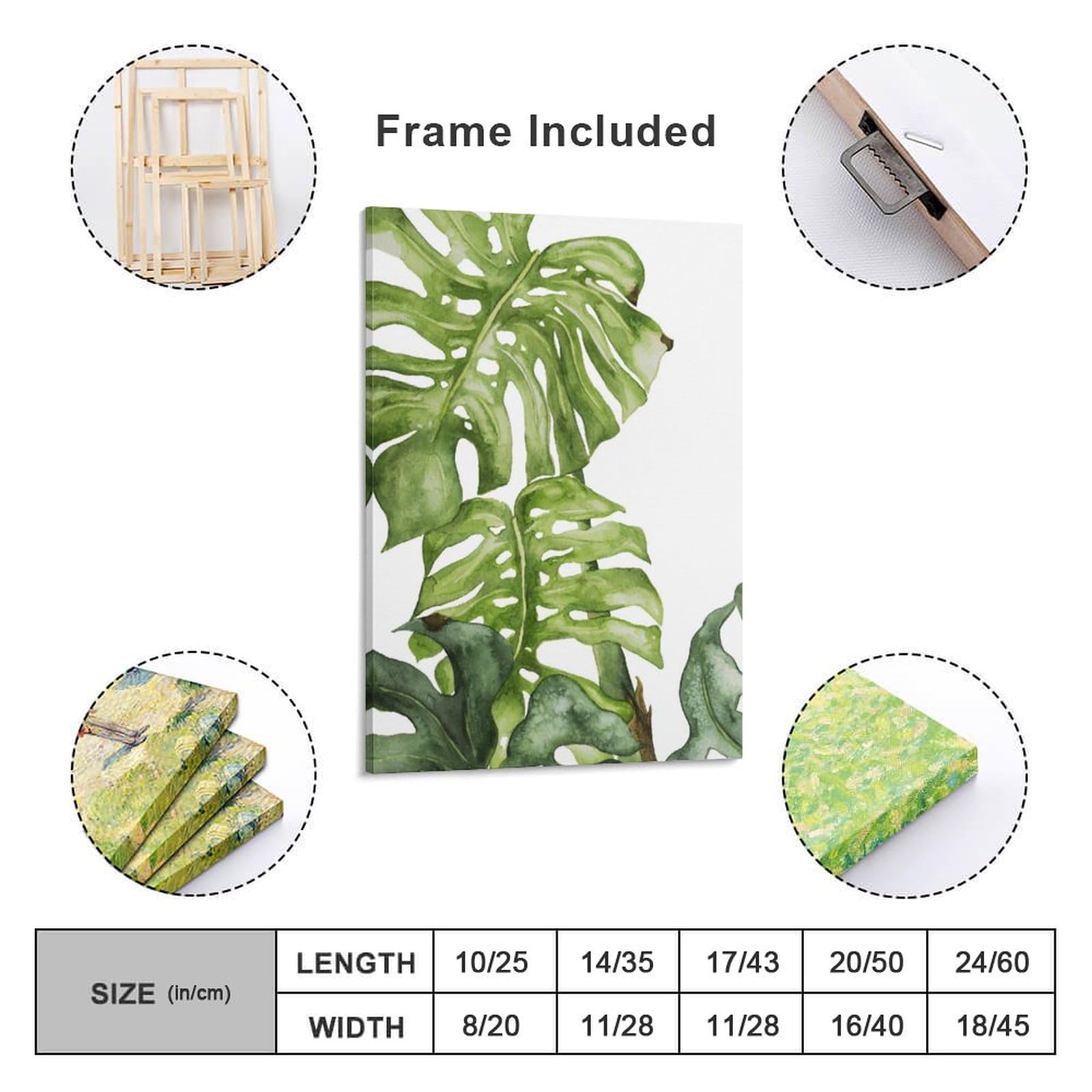 Amazon.co.jp: 絵画 緑のモンステラ植物の水彩画インテリア 絵画 熱帯