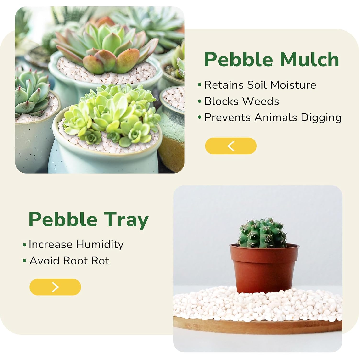 GreatBuddy 10lb White Landscaping Pebbles, Smooth 3/8 Inch