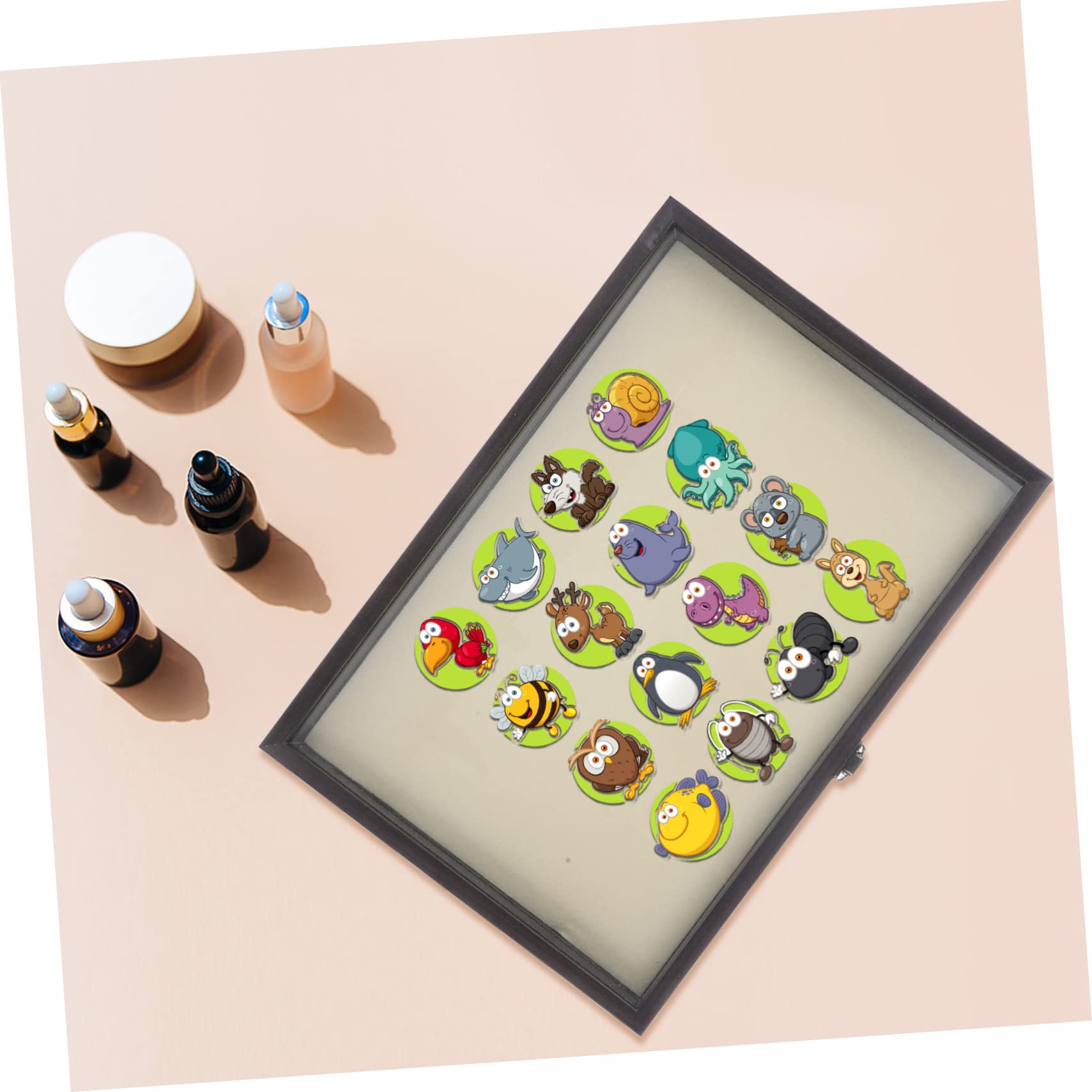 Scatola Per Esposizione Spille Trasparente Contenitore Per Gioielli Medaglie e Accessori Design Elegante Per Collezionisti e Appassionati Di Brooch Pin