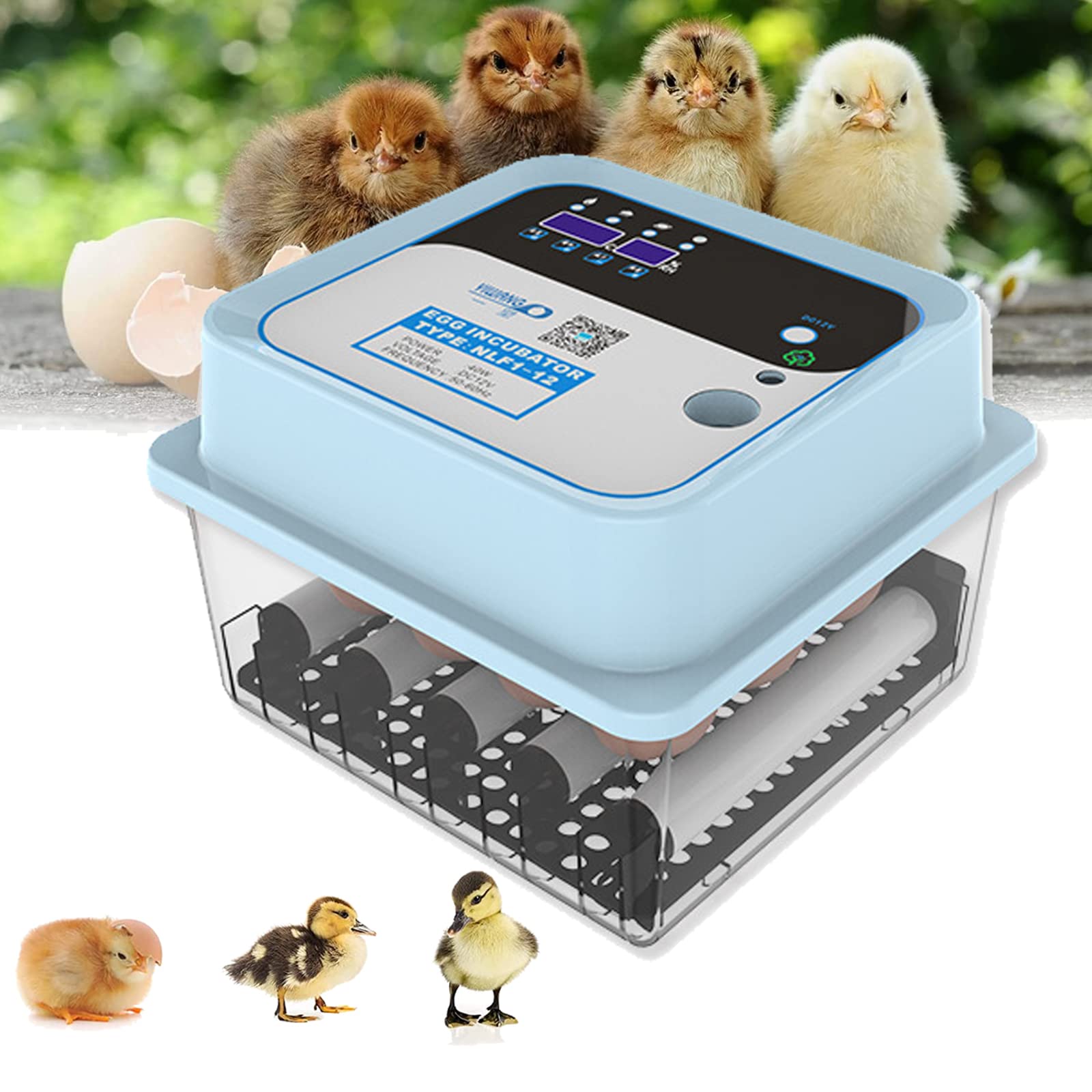 Buy WOERD Automatic Egg Incubator 12 Eggs Poultry Hatcher Machine
