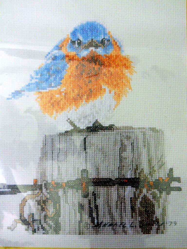 Bucilla Counted Cross Stitch Kit, 8.75 by 10.75-Inches, 42733 Mad Blue Bird