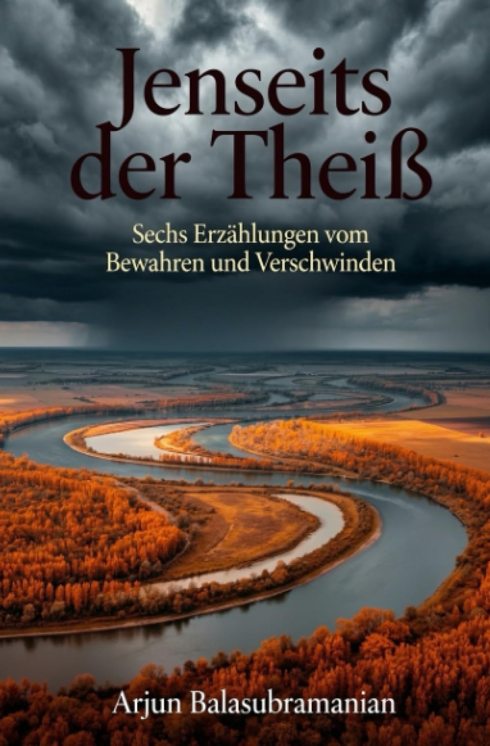 Jenseits der Theiß: Sechs Erzählungen vom Bewahren und Verschwinden