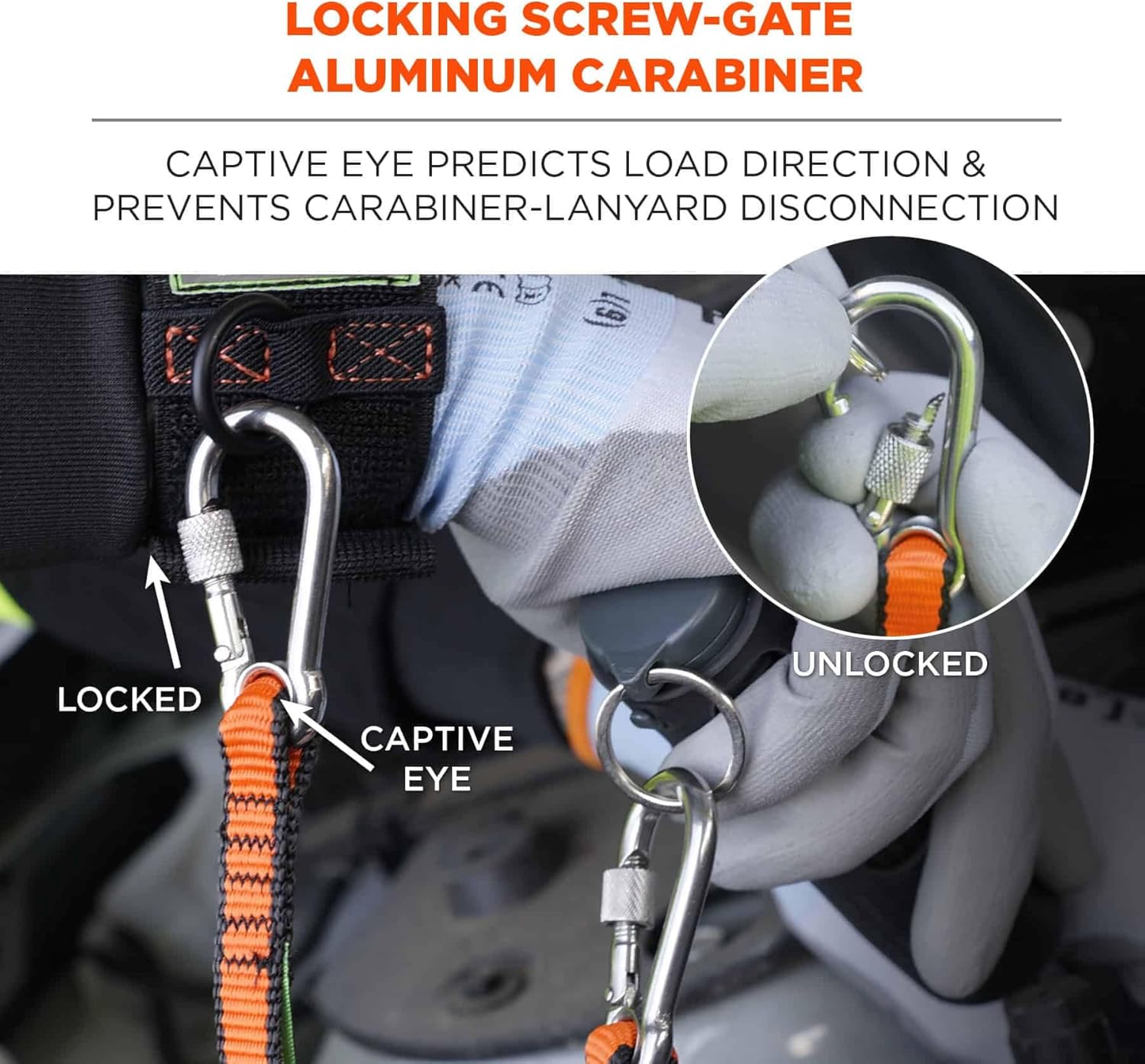 Ergodyne Squids 3154 Nylon Web Tool Tether, 24 inch Lanyard - Dual Screw-Gate Carabiner Attachment Ends, 5 lbs
