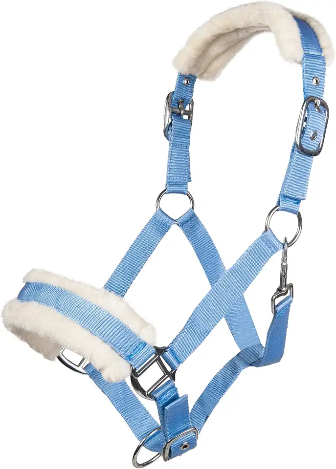 Finis Weihnachtsgeschenk Wunsch liste