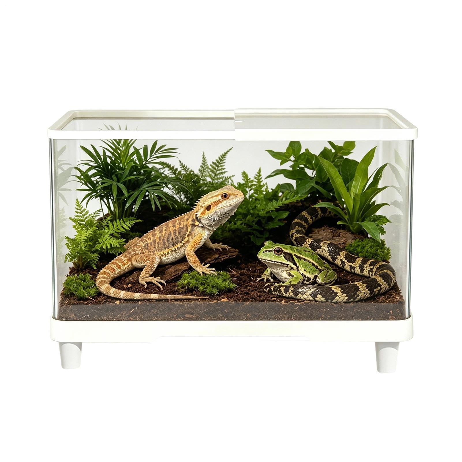 Przezroczyste terrarium akrylowe żółwia bez ucieczek