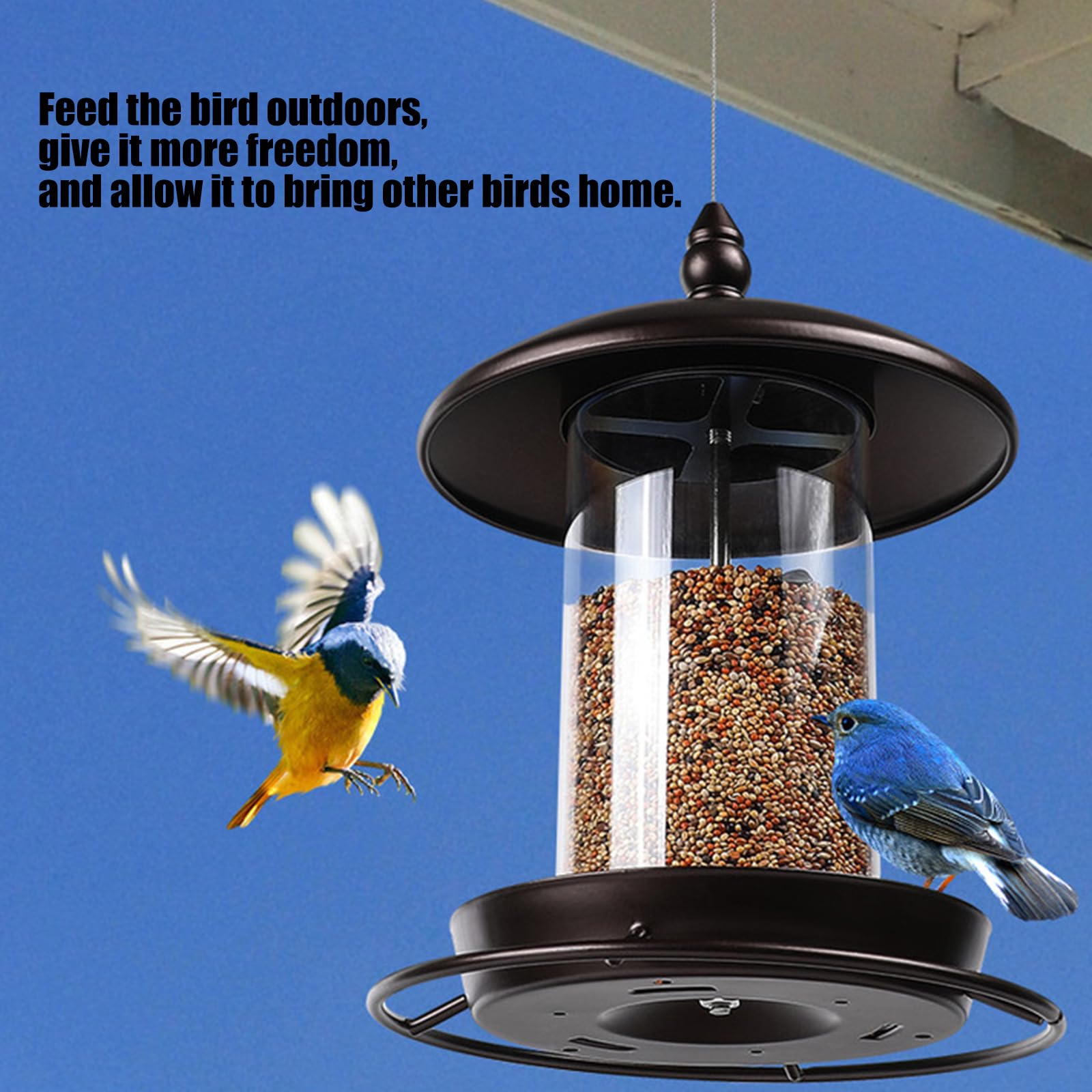 Mangiatoia per uccelli sospesa per scoiattoli selvatici Impedisce un contenitore per alimenti capacità per cortile all ' aperto Mangiatoia sospesa per birdwatching selvatico all ' aperto