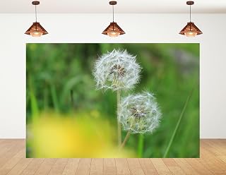 4x4ft Dandelion Seed Head Backdrop Two Fluffy White Seed Heads in Green Grass Photography Background for Party Nature Themed Bridal Shower Decorations Tapestry Photo Booth Props