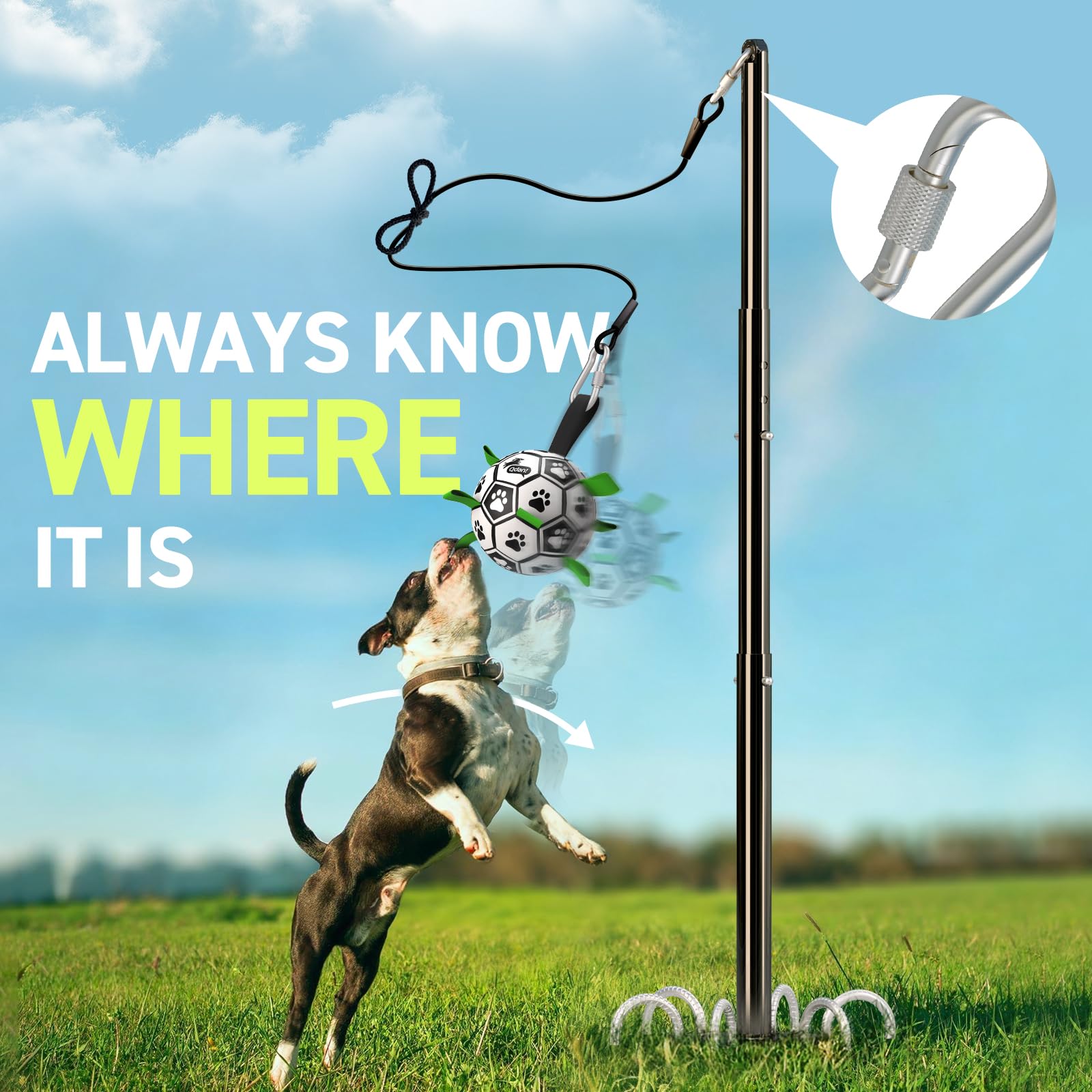 QDAN Tether Tug Jouet d'extérieur pour chien, jouet interactif durable avec poteau réglable, jouet d'extérieur pour chiens, balle de football, jeu personnel et jouet à tirer pour chiens de petite