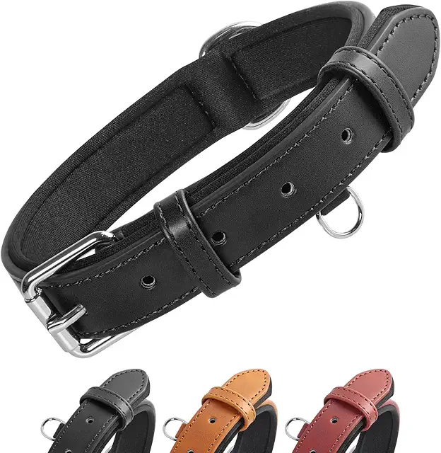 Leder Hundehalsband - Gepolstert, Verstellbar für Kleine bis Große Hunde (Schwarz, XS)