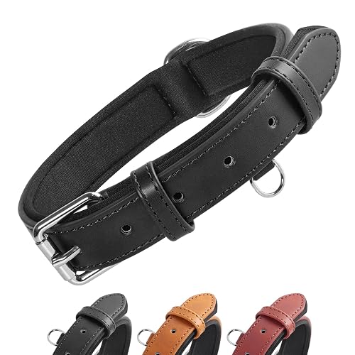 Grand Line Collar de Perro de Cuero