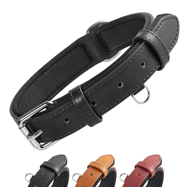 Grand Line Collar de Perro de Cuero