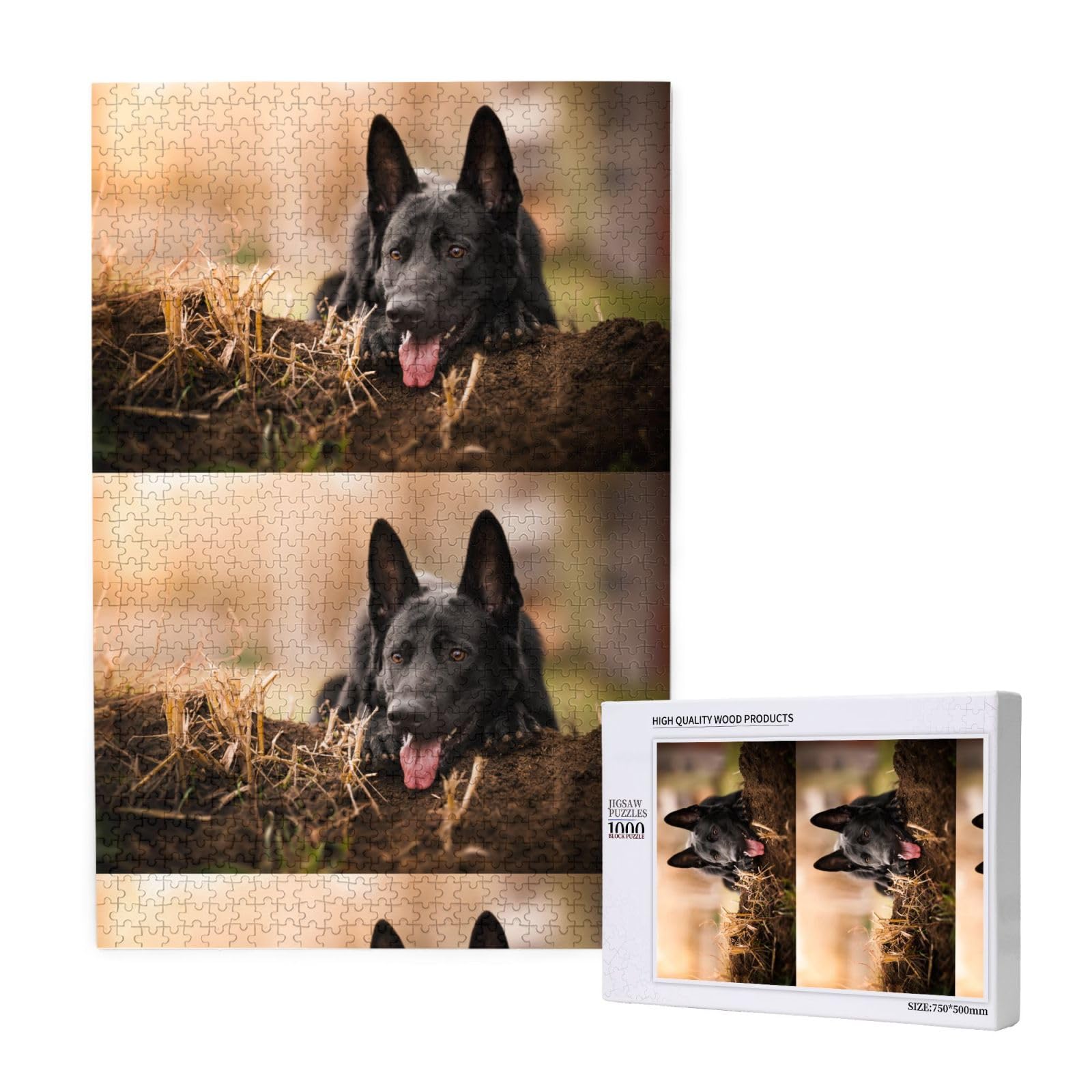 Pastore tedesco nero, prato, bokeh, tedesco, 1000 pezzi, gioco di puzzle per adulti, puzzle impegnativi, puzzle