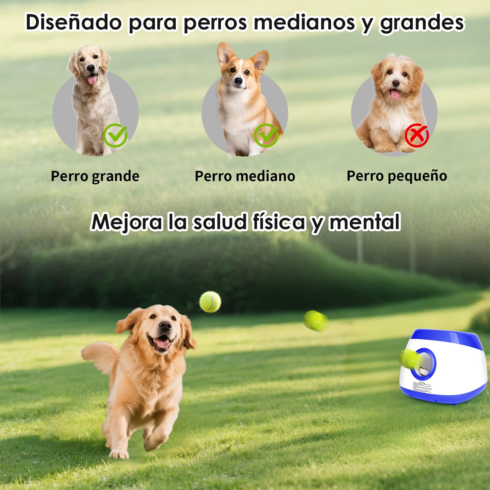 Lanzador de Pelotas para Perros Automático Lanza Pelotas Perro Interactiva Máquina Lanzadora de Mascotas para Perro Grande y Medianos, Incluye 6 Bolas
