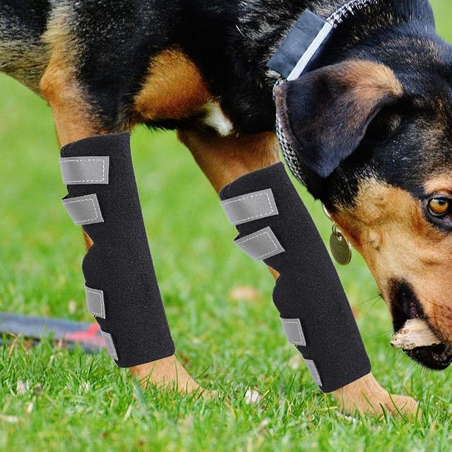 Foto 6 de 7 de Oumefar Apoyos de Patas traseras de de Apoyo Sobres de Compresión de la Pata de Protección Sobres articulares…