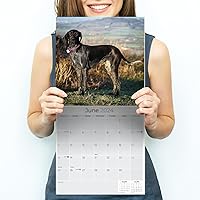 Vista 415 de Razas de Perros 2017