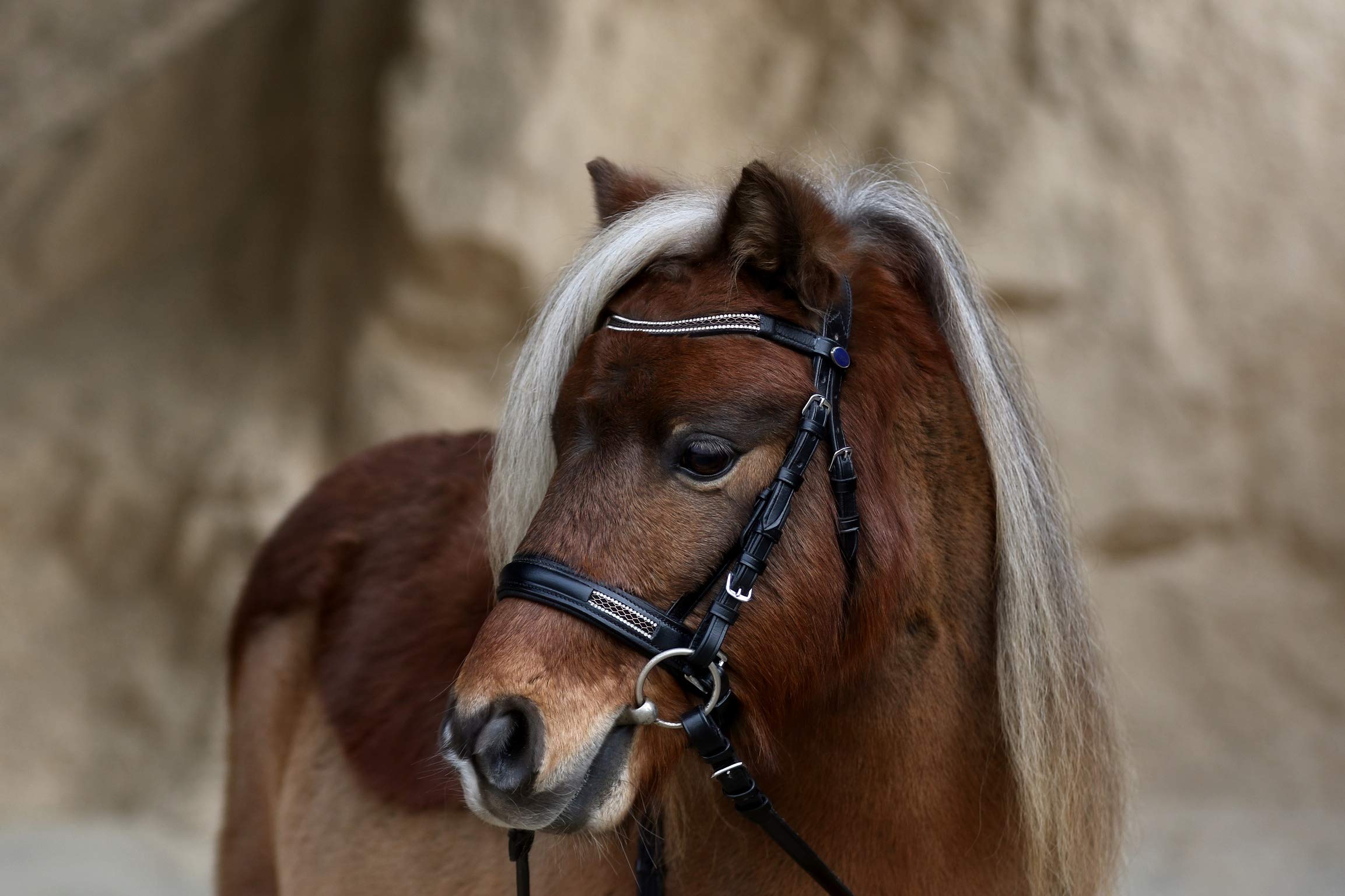 HKM 9209 Gebisslose Trense Funny Horses Spielzeugtrense Ho