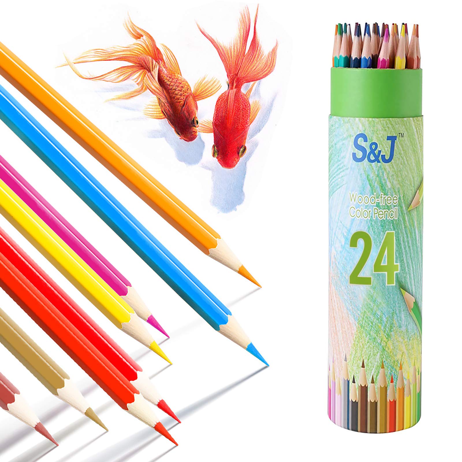 Buy JUSCH 24 Pack Colored Pencils, Colored Pencils for Adult Coloring, Color Pencils for Kids