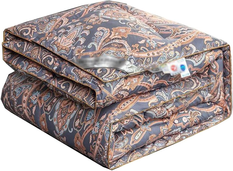 Spring Autumn Winter Quilt New Down White Goose Velvet with Thickened Core(Black,200x230cm 4kg)
