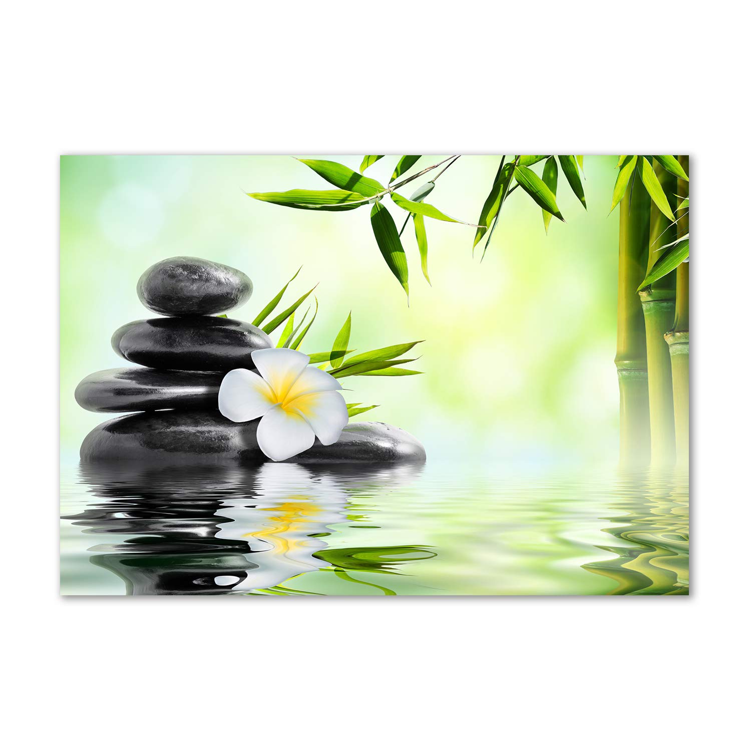 Déco murale acrylique glass picture Tulup tableau vert orchidée bambou pour intérieur