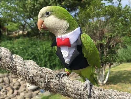 Miniatura 3 de KUNBIUH Ropa de pájaros, traje de vuelo de pájaros, traje de negocios de esmoquin para loros, grises africanos, periquitos, cacatúas, sol, conure,